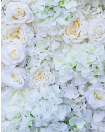 White Bloom