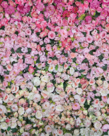 Blush Bloom